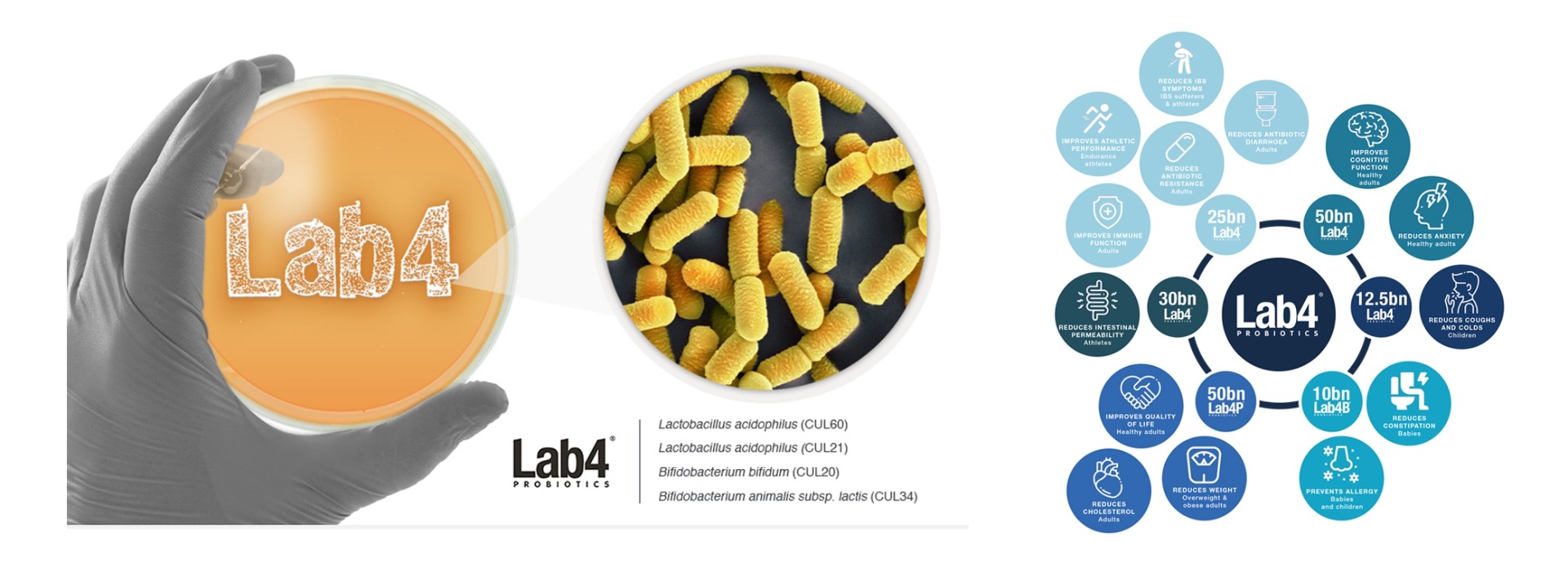lab4